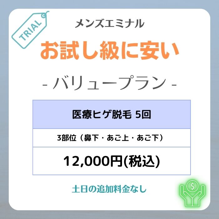 メンズエミナルお試し級に安いバリュープラン