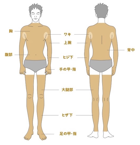 メンズtbcの脱毛部位