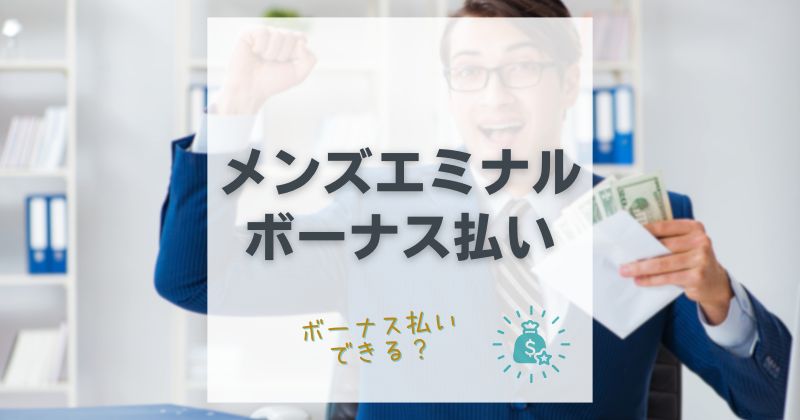 メンズエミナルはボーナス払いできる？クレカと医療ローンのケースをご紹介