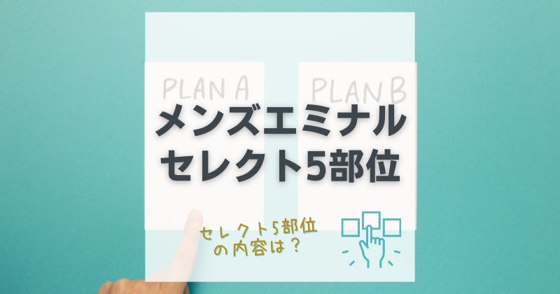 メンズエミナルのセレクト5部位の内容は？ヒゲ脱毛で選べる部位プランを解説