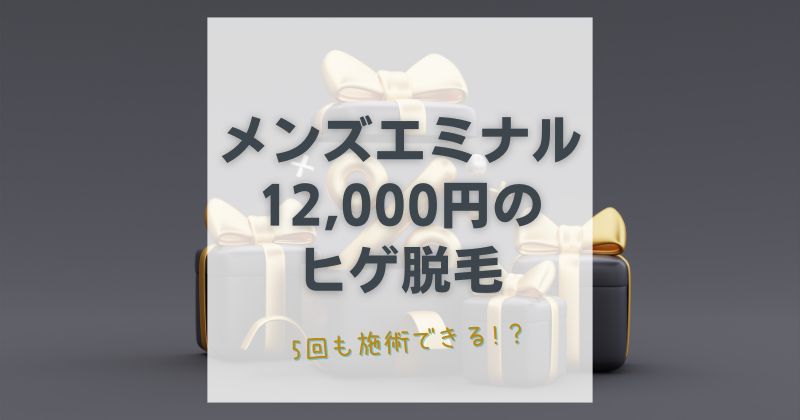 メンズエミナルの12000円プランの条件は？追加でかかる料金があるか調査