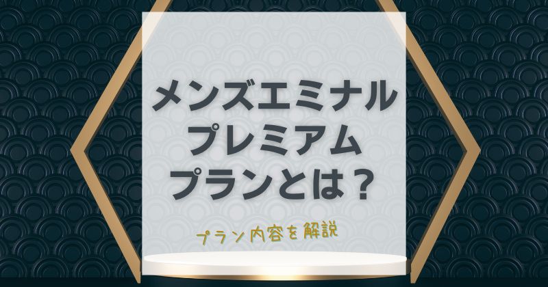 メンズエミナルのプレミアムプランとは？料金とサービス内容の違いを解説